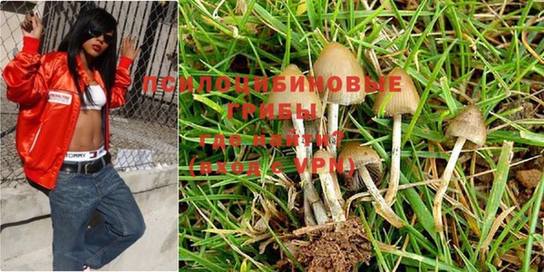 винт Белоозёрский