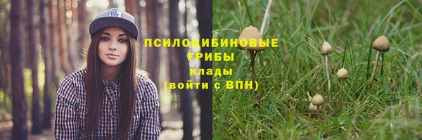 винт Белоозёрский