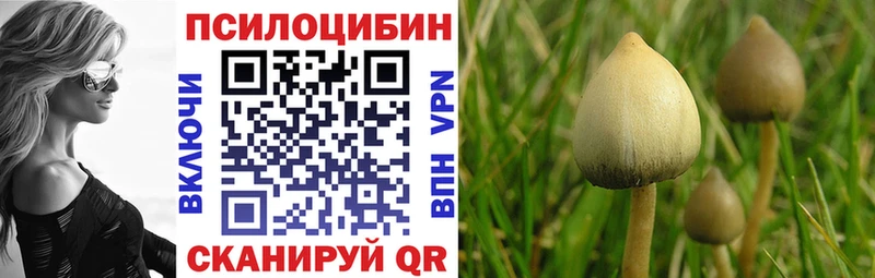 Галлюциногенные грибы Psilocybe MEGA как зайти Пикалёво